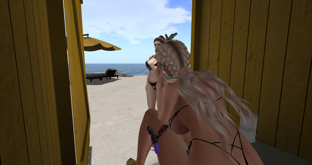 The Evolution of Identity in Second Life
