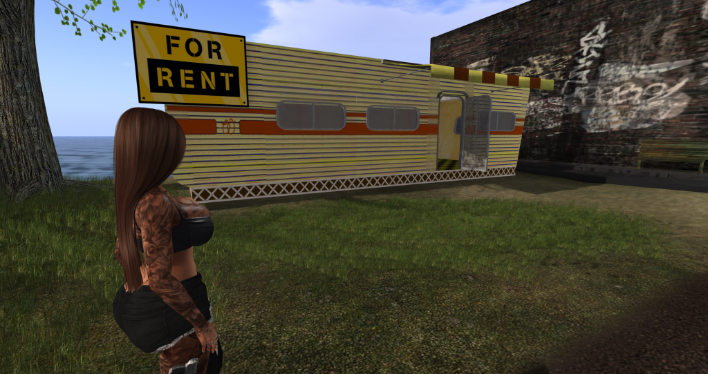 Adventures of a Digital Daredevil: Daria's exploration of an abandoned trailer.