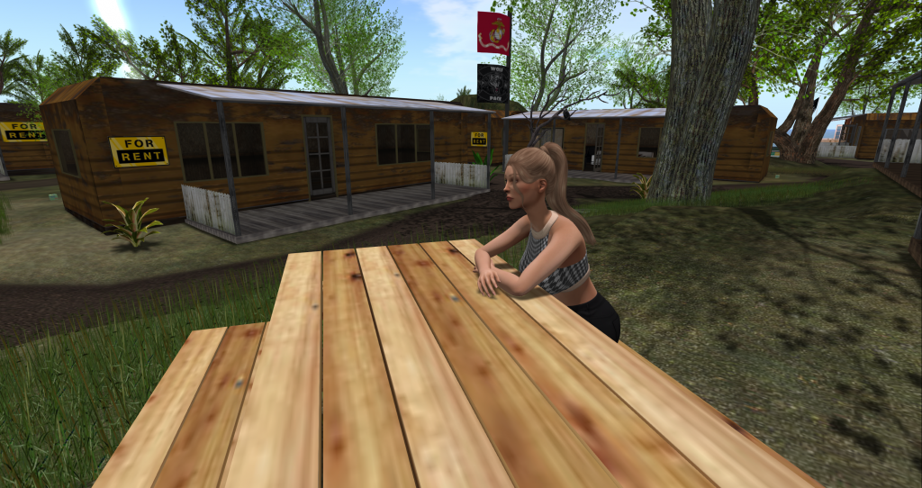 Challenges faced by a Second Life Senra Avatar