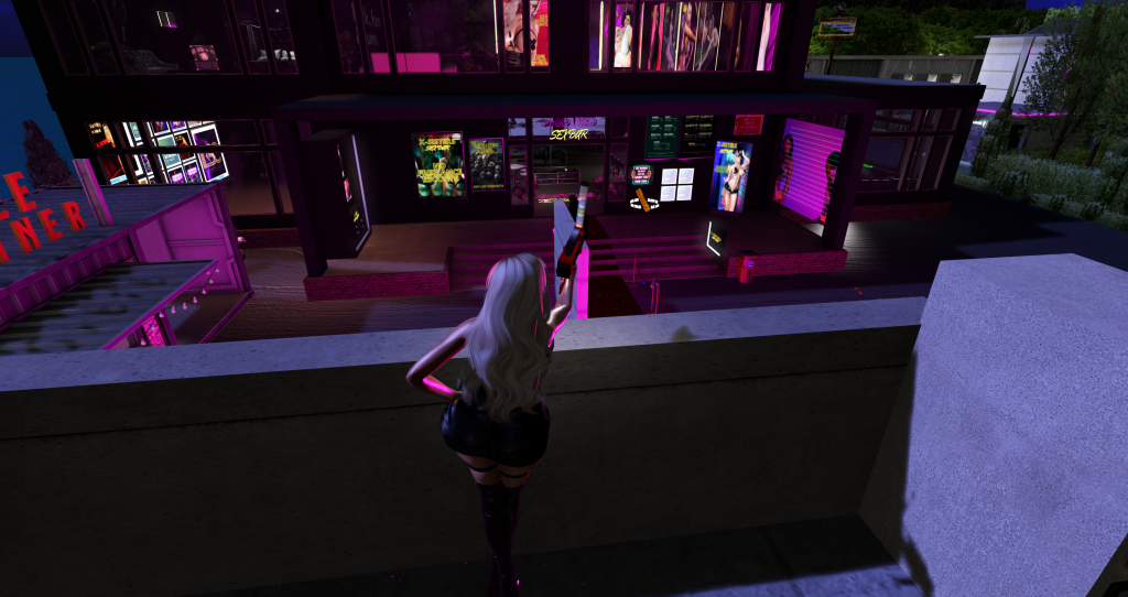 Sex in Second Life | Clients, Adventures and Early Morning Excitement